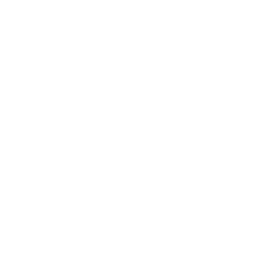 WhatsApp-icon-Blanco